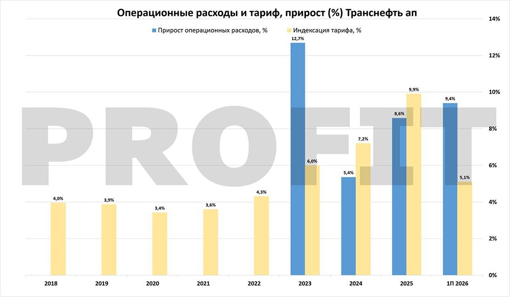 Акции Транснефти по 1000 рублей: сделка ради дивидендов или ловушка