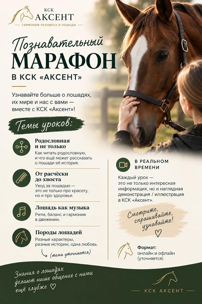 Познавательный марафон в КСК «Аксент»: теория и практика с живыми лошадьми