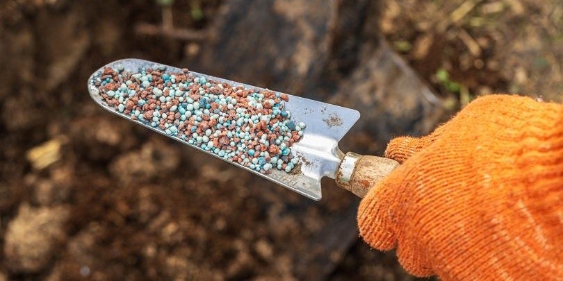 Падение акций Nutrien, CF Industries и Mosaic: реакция на сделку с Белоруссией
