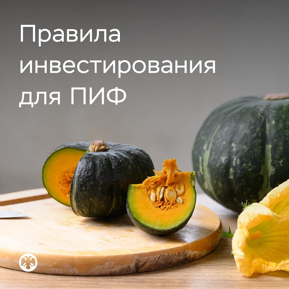 ПИФы смогут включать любые акции и облигации РФ — лимит на неторгуемые активы