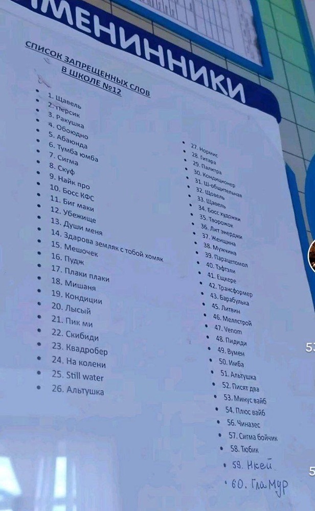 В российских школах введён запрет на использование молодёжного сленга