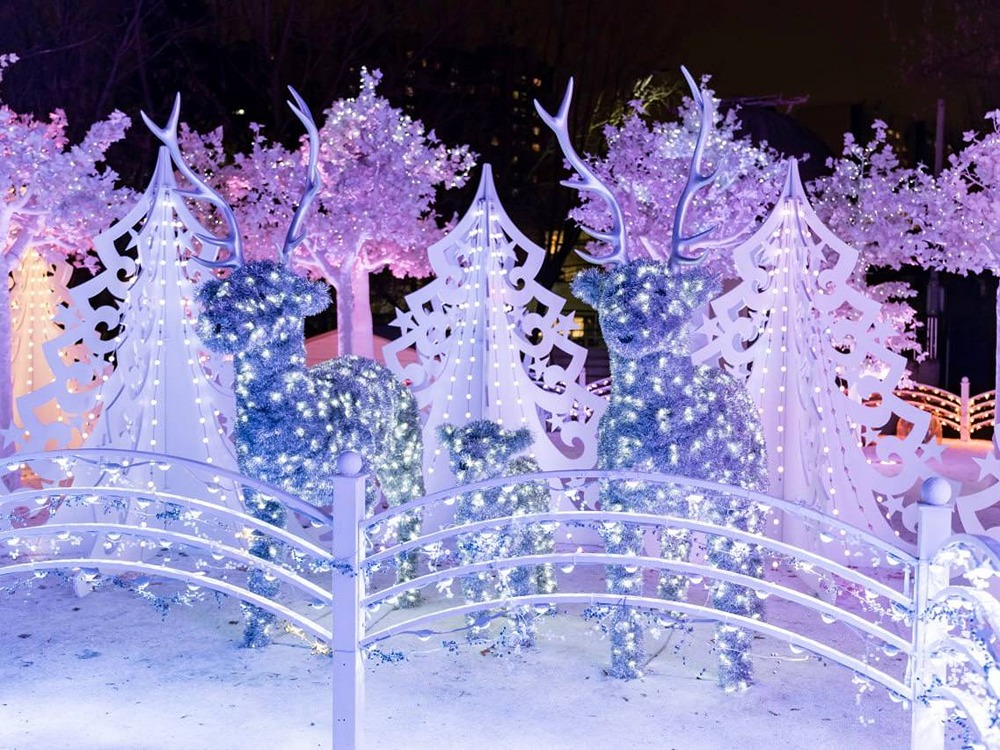 В Сокольниках открылся «бумажный» парк