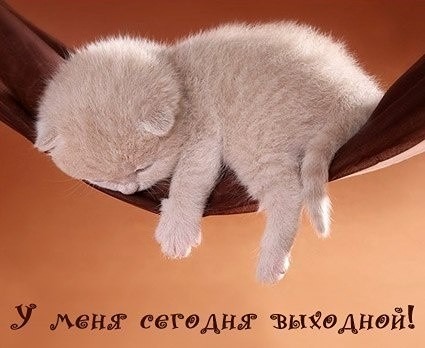 Итоги недели 30.12- 03.01