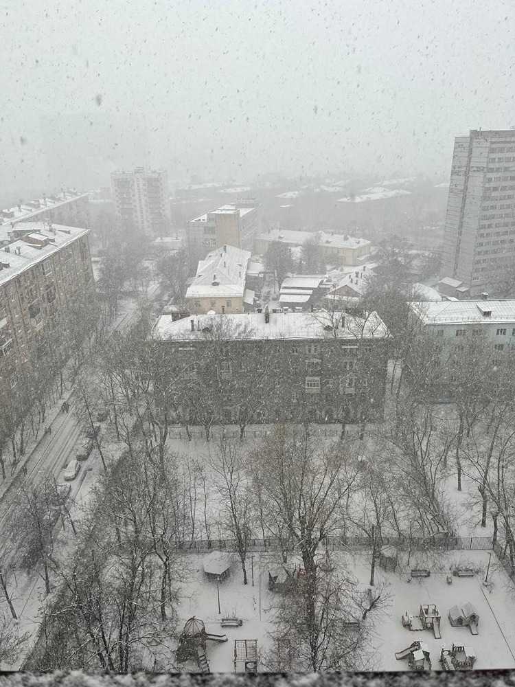 В Москве наблюдается снегопад