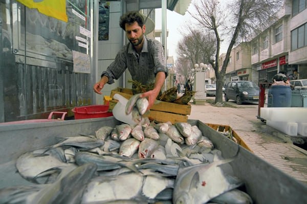 В 2024 году Россия увеличила импорт рыбы и морепродуктов из Ирана на 25%