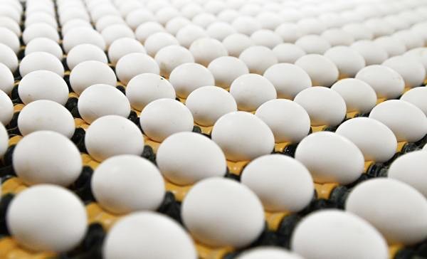 В США с прилавков магазинов исчезли куриные яйца, а цены на них выросли