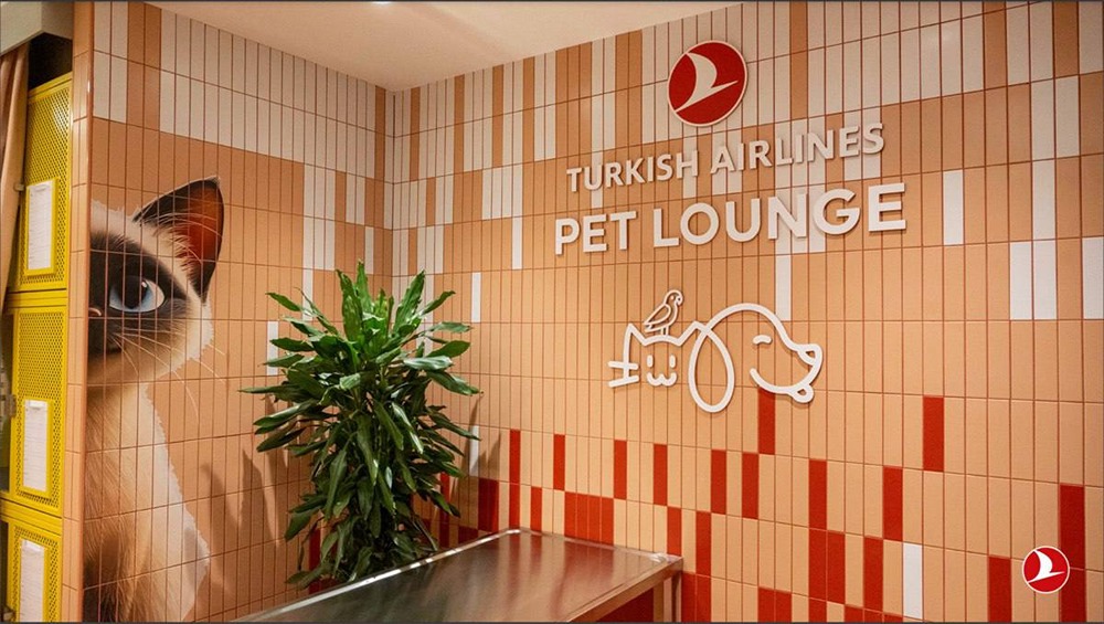 В аэропорту Стамбула состоялось открытие «Pet lounge» — специальной зоны, предназначенной для пассажиров с домашними животными