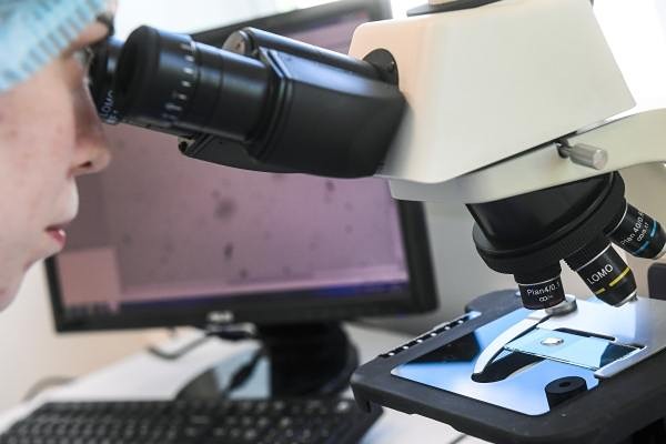 В России планируется внедрить генетическое тестирование для будущих родителей