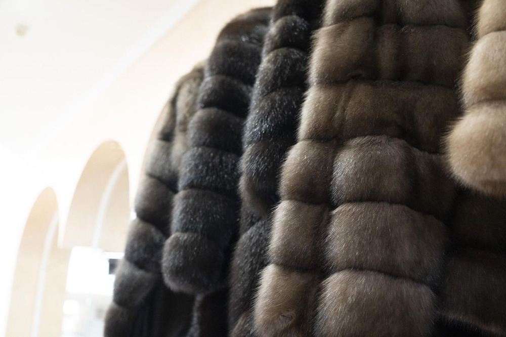 Самая дорогая шуба в России была куплена за 34 миллиона рублей - изделие из соболиного меха