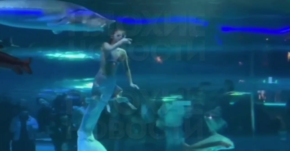 В Китае рыба чуть не съела девушку, работавшую подводным аниматором