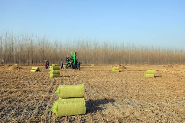 В российском сельском хозяйстве дефицит кадров превысил 200 тысяч человек