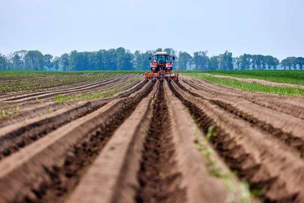 Производство сельхозтехники в России сократилось на 12,5% в 2024 году