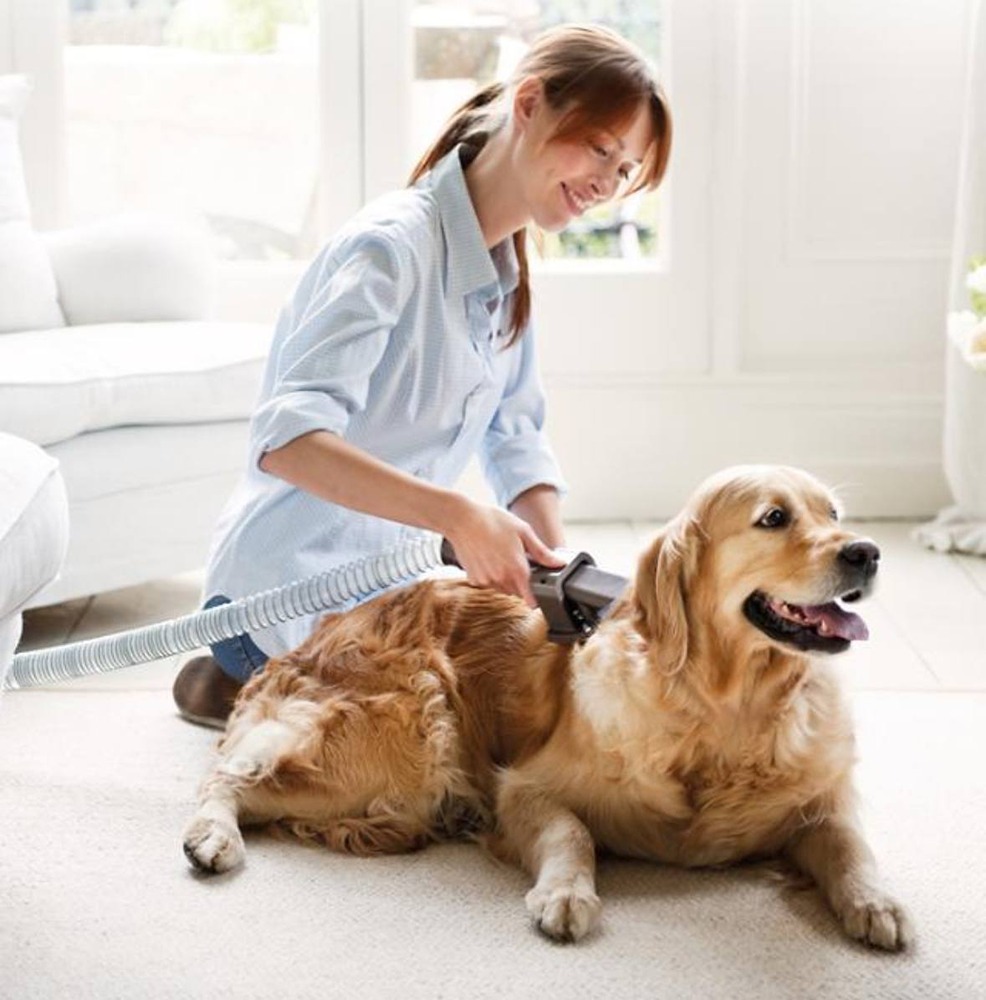 Dyson выпустила новый набор насадок для своих пылесосов, который оценят владельцы домашних животных
