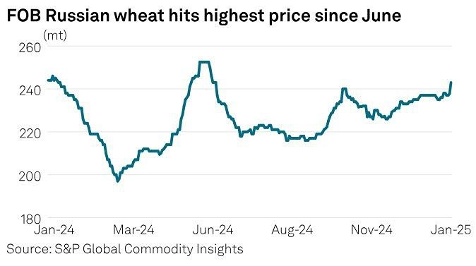 Цена российской пшеницы подскочила до максимума с июня