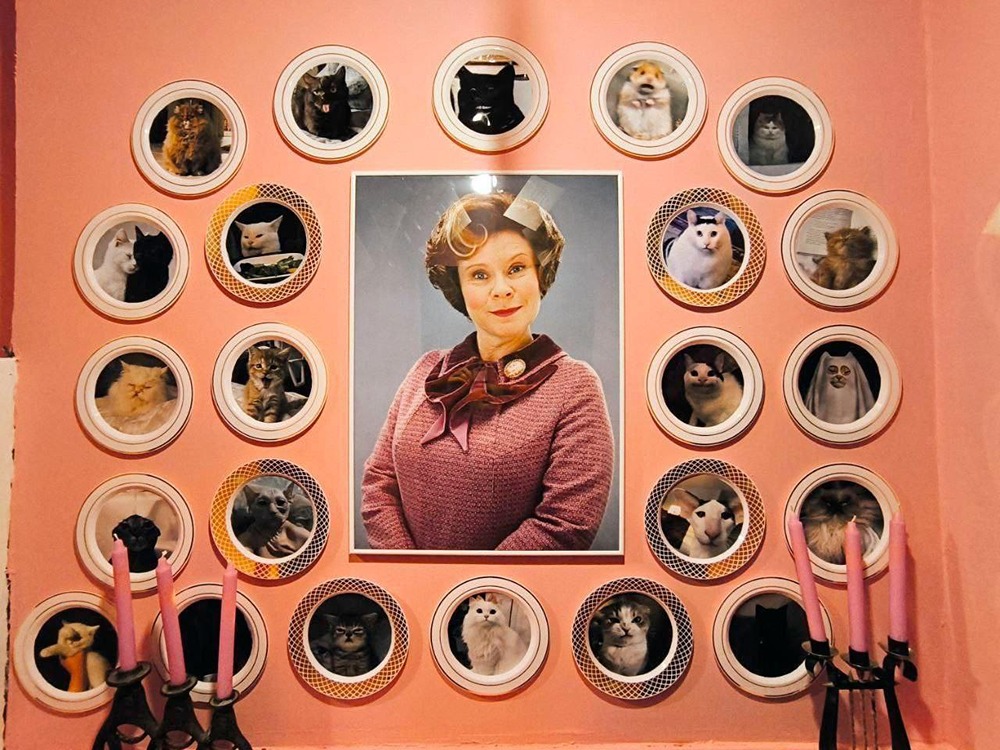 В Москве открылось уютное кафе, посвящённое вселенной «Гарри Поттера»