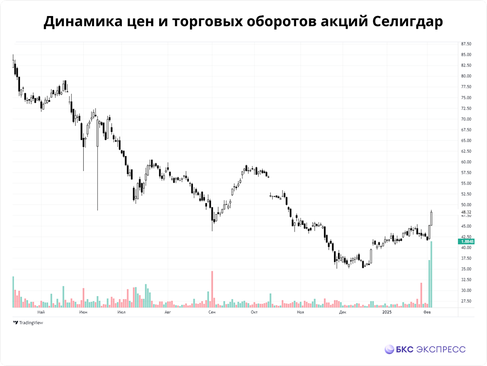 Рост акций Селигдара продолжается: +15% за два дня