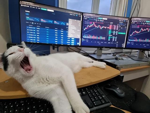 По прогнозам астрологов, в феврале Стрельцам и Ракам будет сопутствовать удача