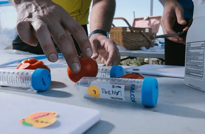 Google X поддерживает Heritable Agriculture — инновационный проект, который применяет искусственный интеллект для увеличения урожайности