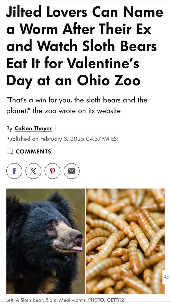 В зоопарке, расположенном в штате Огайо, можно дать червю имя своей бывшей пассии, а затем стать свидетелем того, как его поглощает медведь