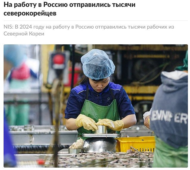 В Россию поехали работать тысячи граждан КНДР