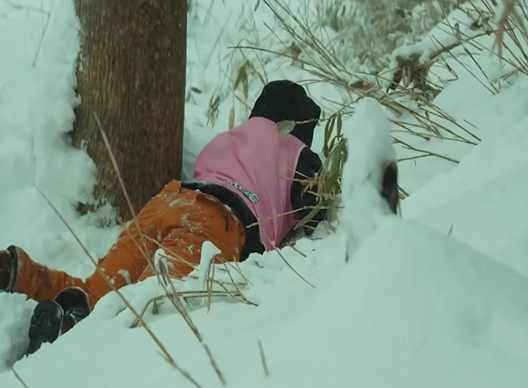 В Японии готовятся к грандиозному мероприятию — игре в прятки в заснеженном лесу