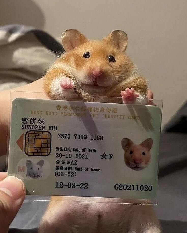 Очарование дня