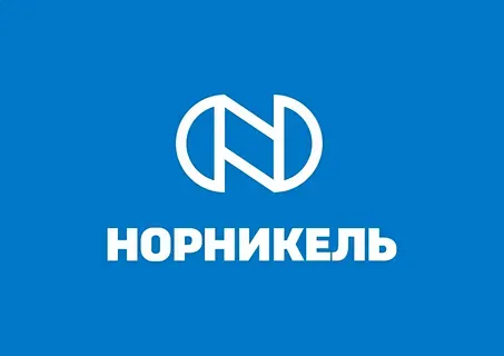 ПАО «Горно-металлургическая компания «Норильский никель». Отчётность по российским стандартам бухгалтерского учёта за 12 месяцев 2024 года