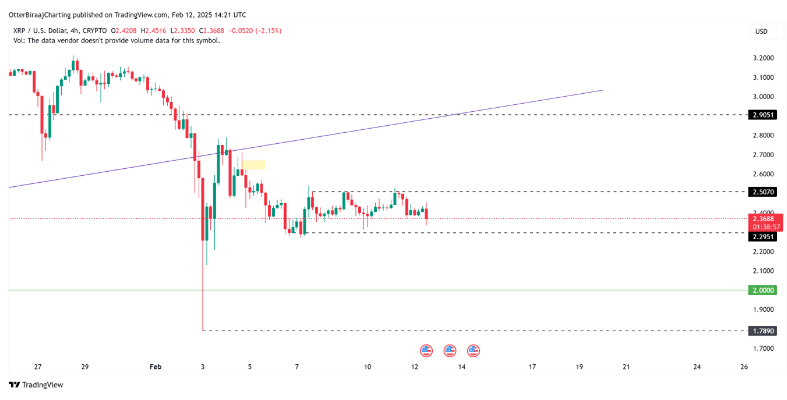 Риск падения XRP нa З0% в ближaйшиe нeдeли
