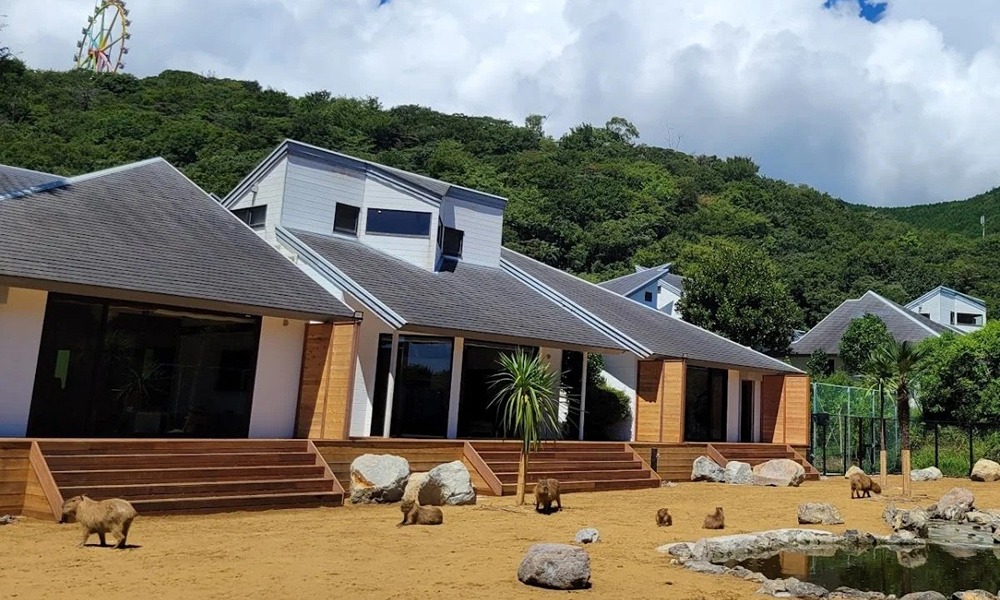 В сети было найдено японское заведение, которое предоставляет услуги проживания для необычных гостей - капибар