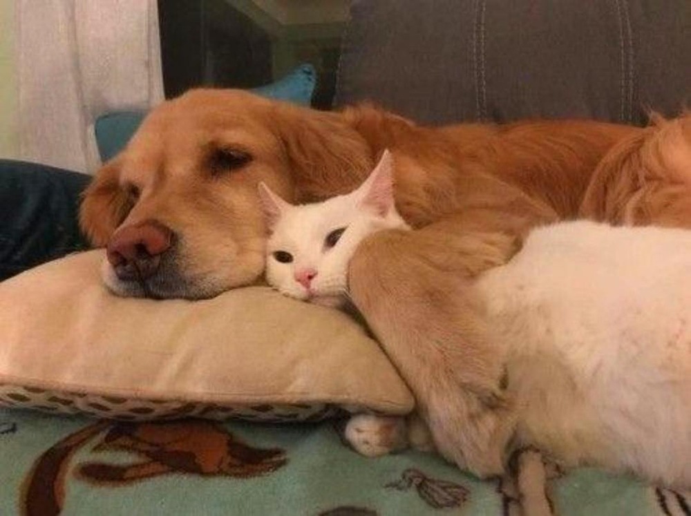 Исследование показало, что объятия могут помочь в борьбе с депрессией, тревогой и болью