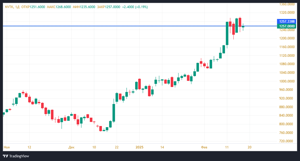 Компания «Новатэк»: итоги работы за 2024 год — как найти перспективы?