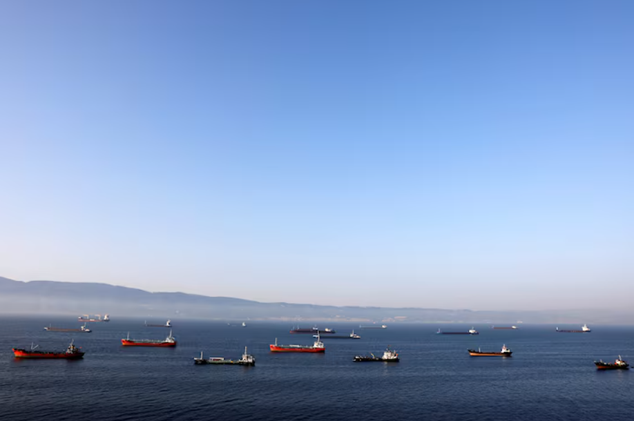 Турецкий нефтезавод Tupras приостанавливает импорт российской нефти 