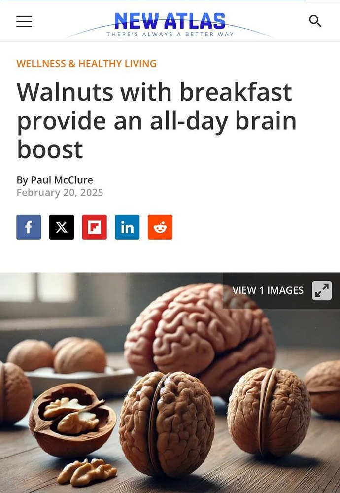 Исследование продемонстрировало, что включение грецких орехов в утренний рацион способствует повышению когнитивных функций в течение всего дня