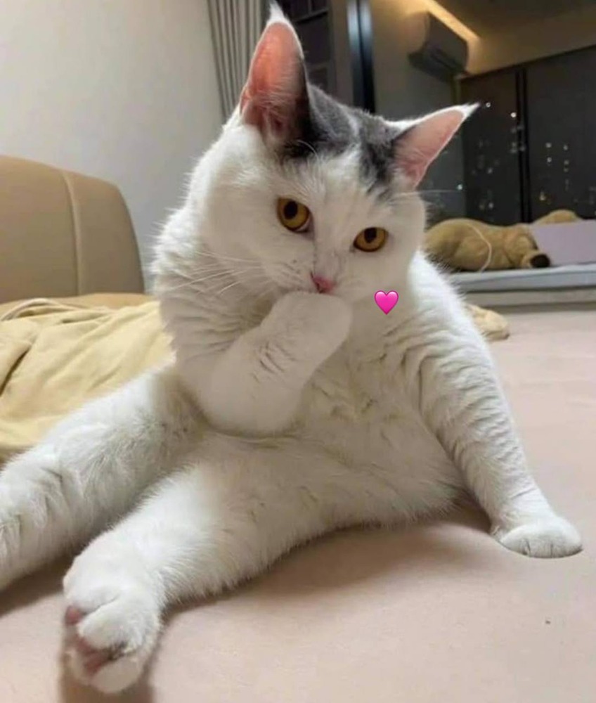 Согласно теории нумерологии, женщины, появившиеся на свет 2, 6, 11, 15 и 24 числа, наделены особой чувственностью