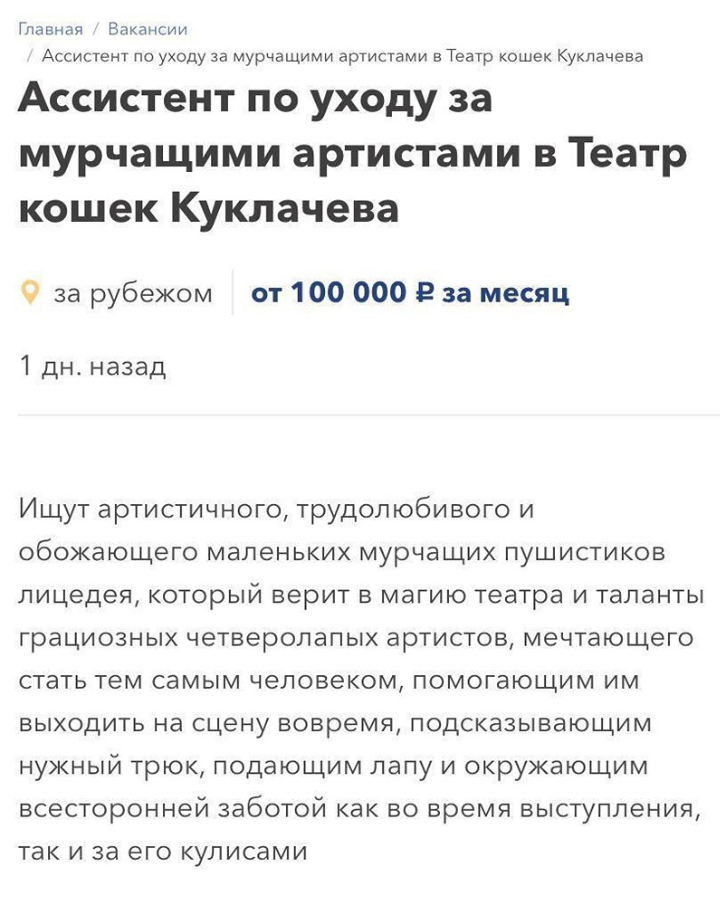 Вакансия кошачьего ассистента 