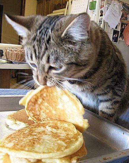 В период Масленицы специалисты рекомендуют ограничиться четырьмя блинами за один приём пищи, чтобы не допустить избыточного потребления и связанных с этим проблем со здоровьем, вызванных высоким содержанием жира в этом блюде