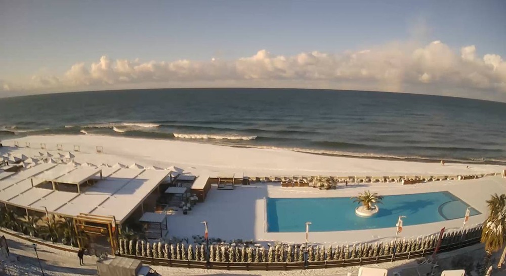 В Сочи произошло удивительное событие: горожане увидели пальмы, покрытые снежным покровом