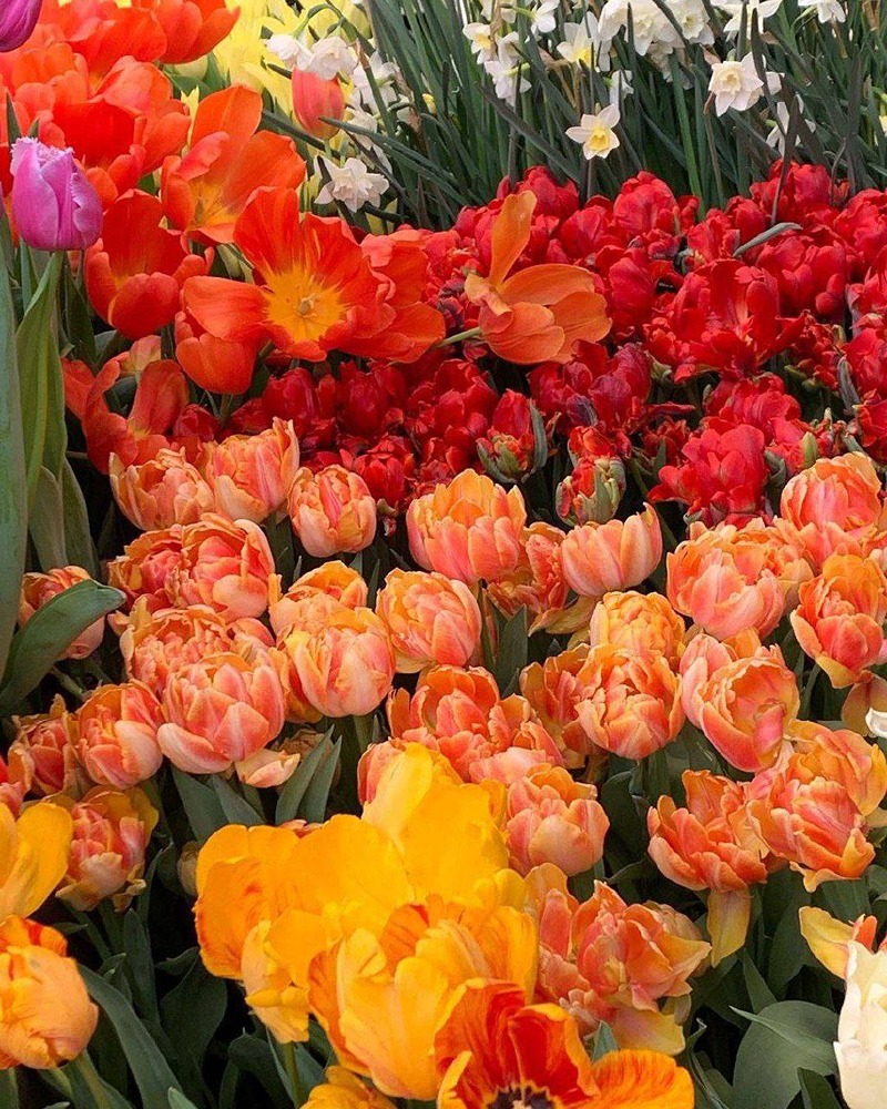 В ботаническом саду наступило весеннее время года