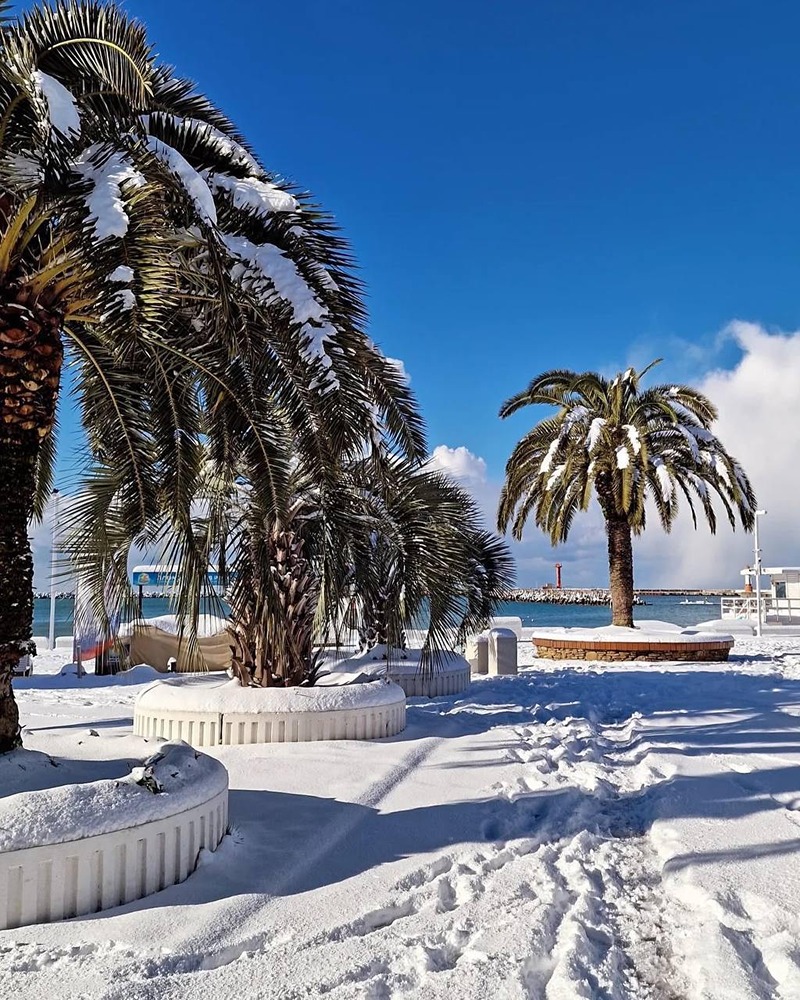 В Сочи внезапно выпал снег