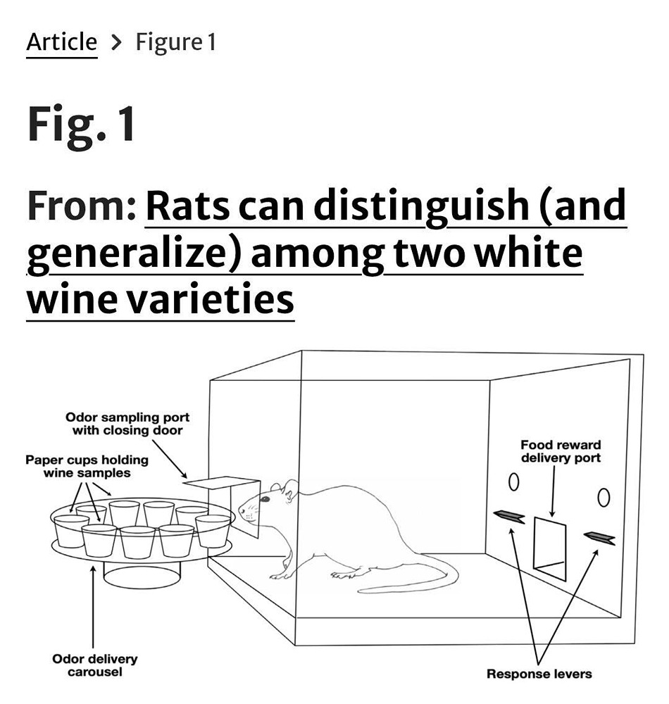 Знатоки вин