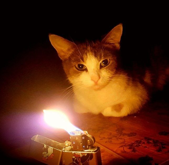 Запрет на продажу