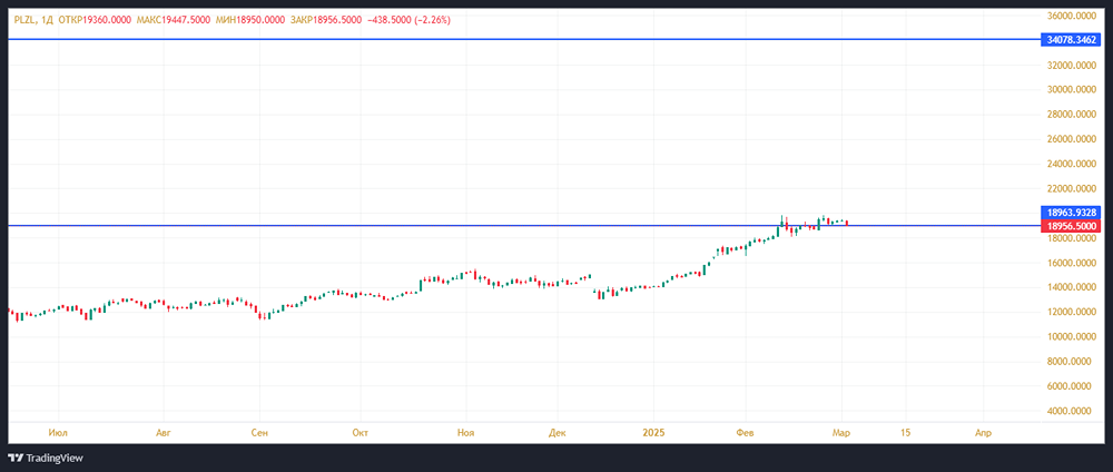 Прогноз по компании Полюс