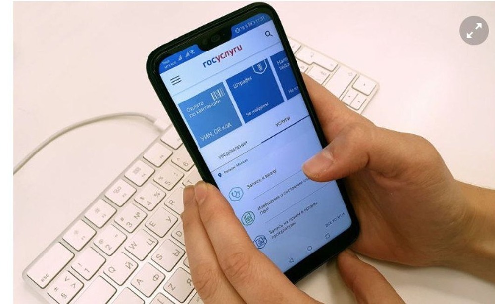 Цифровое портфолио
