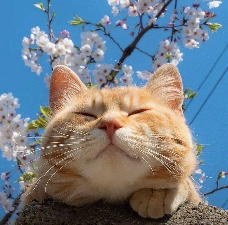 Тёплая весна