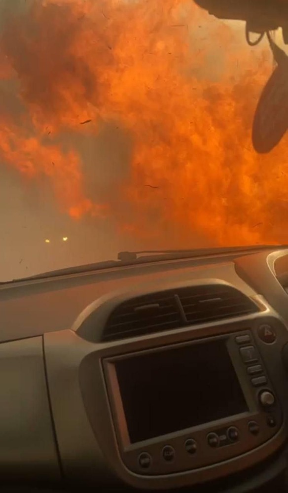 Лесные пожары