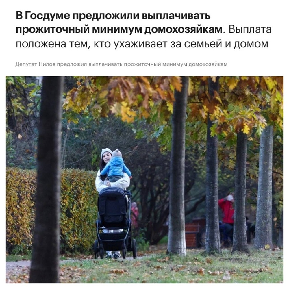 Новости России. Заработная плата домохозяйкам