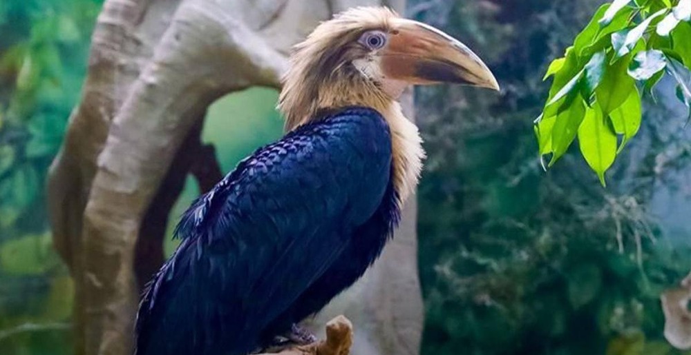 Новости России. Московский зоопарк