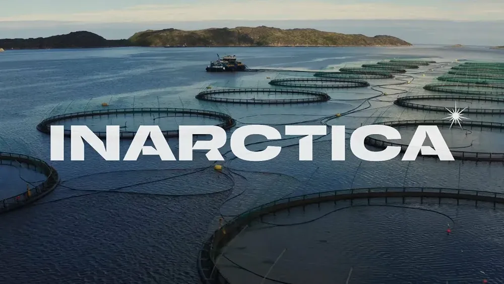 Новость Инарктика. Стоимость акций 