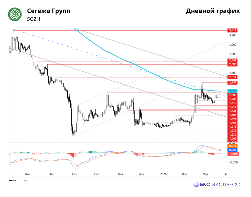 Сегежа. Акции. Мнение экспертов. Аналитика. Стоимость. Прогноз цены. Анализ. Дивиденды