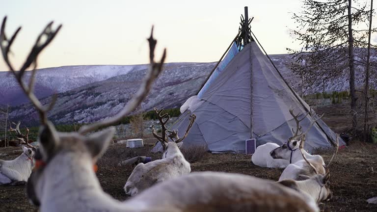 Съезд оленеводов Якутии при поддержке «Роснефти»